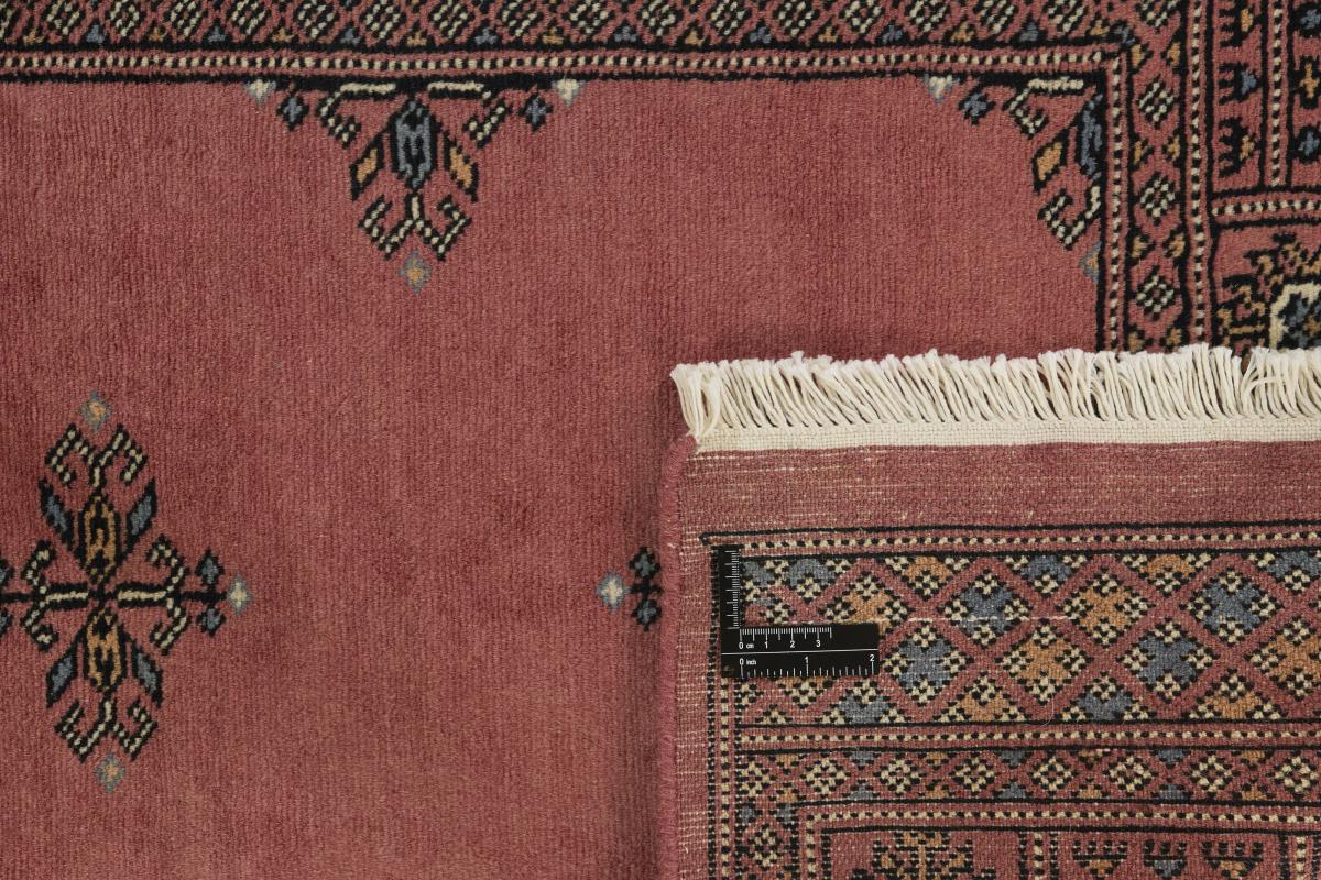 Pakistan Buchara 3ply - 1