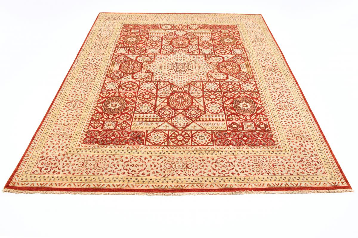 Ziegler Farahan - 1