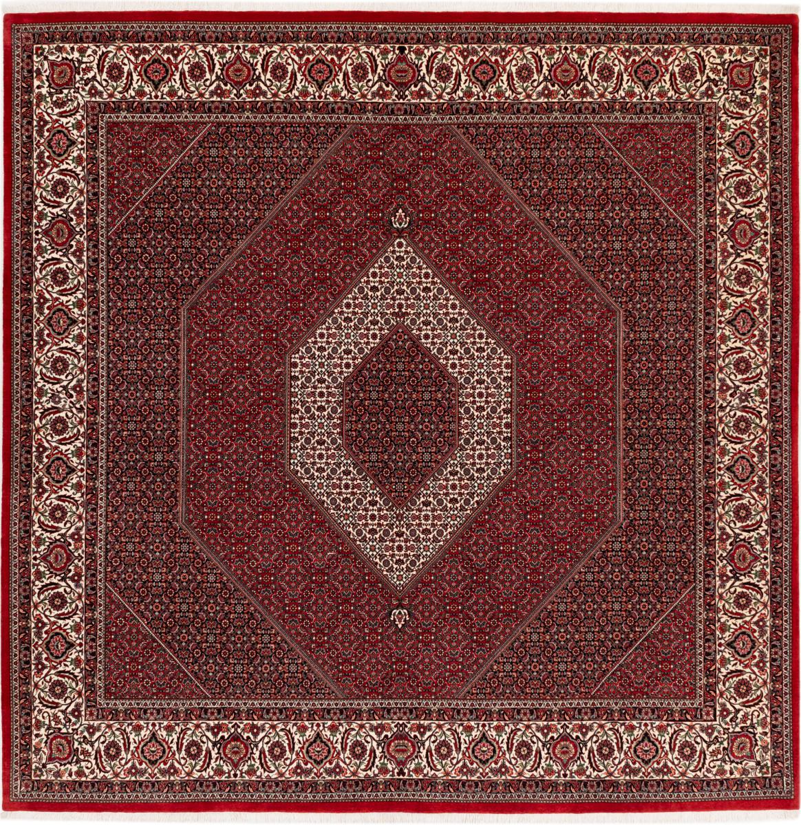 Tapis persan Bidjar 305x303 305x303, Tapis persan Noué à la main