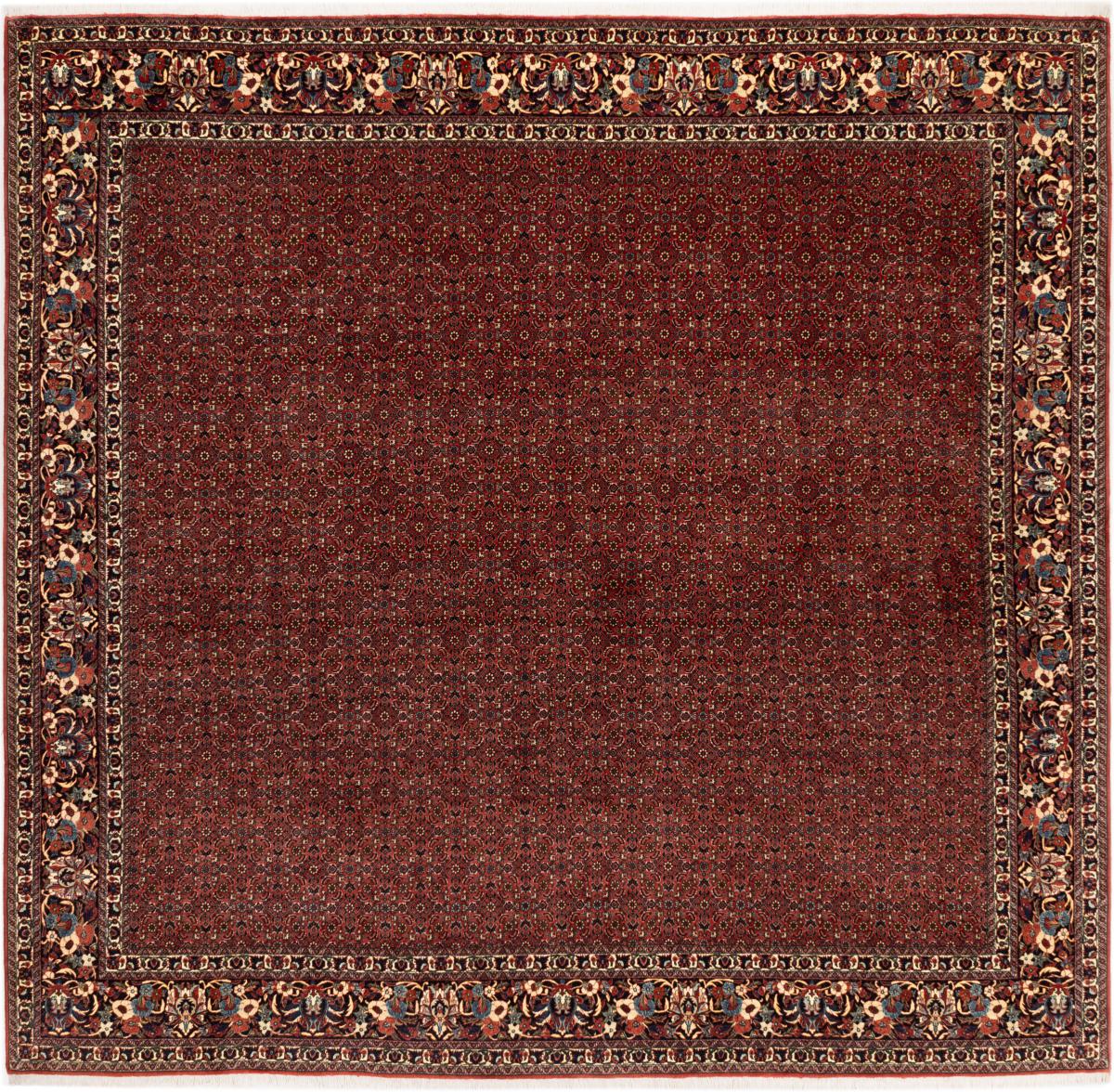 Tappeto persiano Bidjar 291x305 291x305, Tappeto persiano Annodato a mano