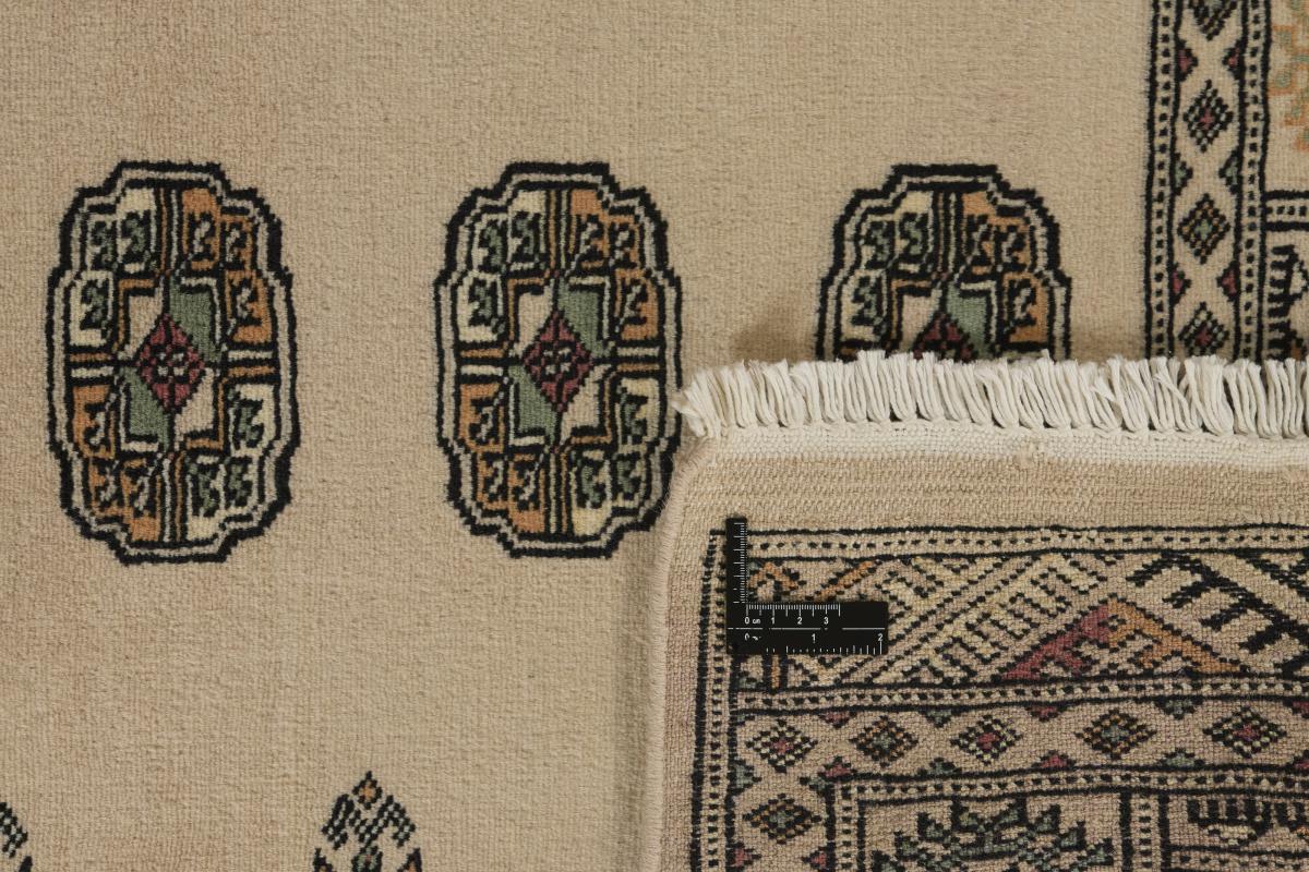 Pakistan Buchara 2ply - 1