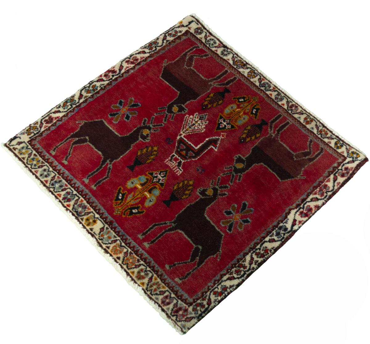 Shiraz - 1