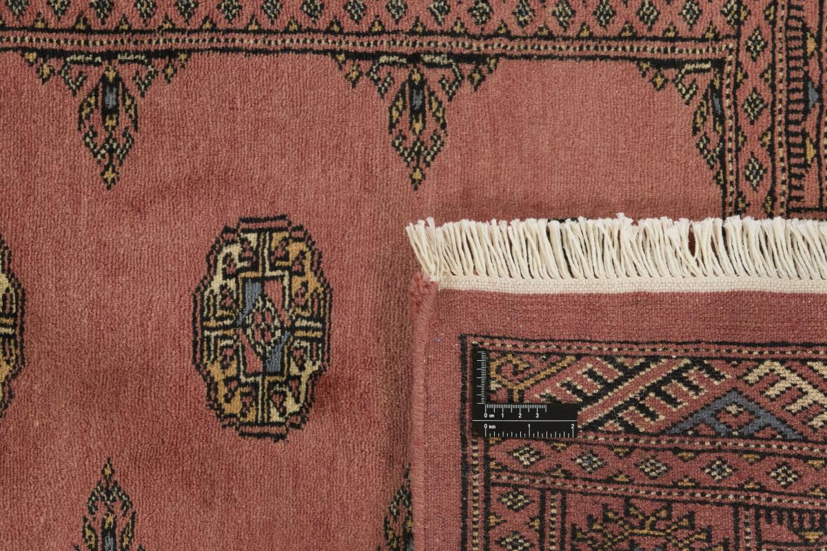 Pakistan Buchara 3ply - 1