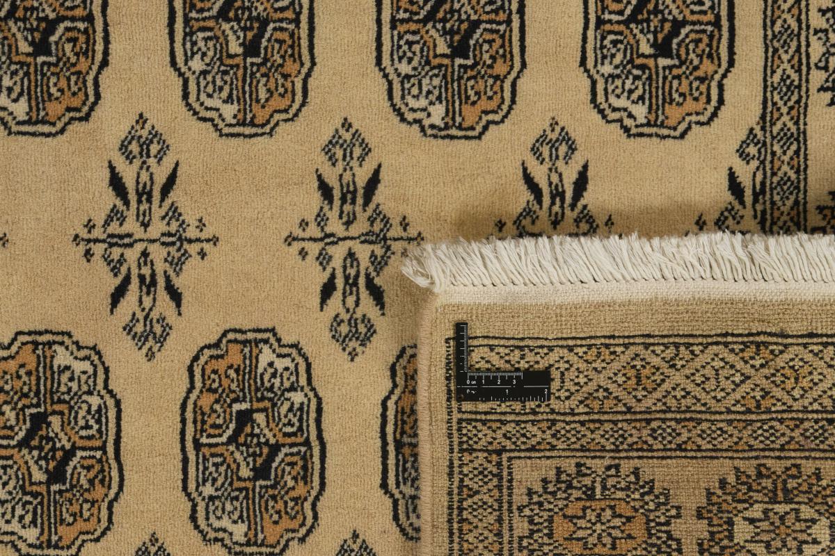 Pakistan Buchara 2ply - 1