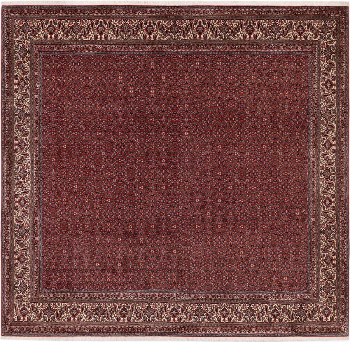 Persian rug Bidjar 292x305 292x305, Persian rug Hand-knotted