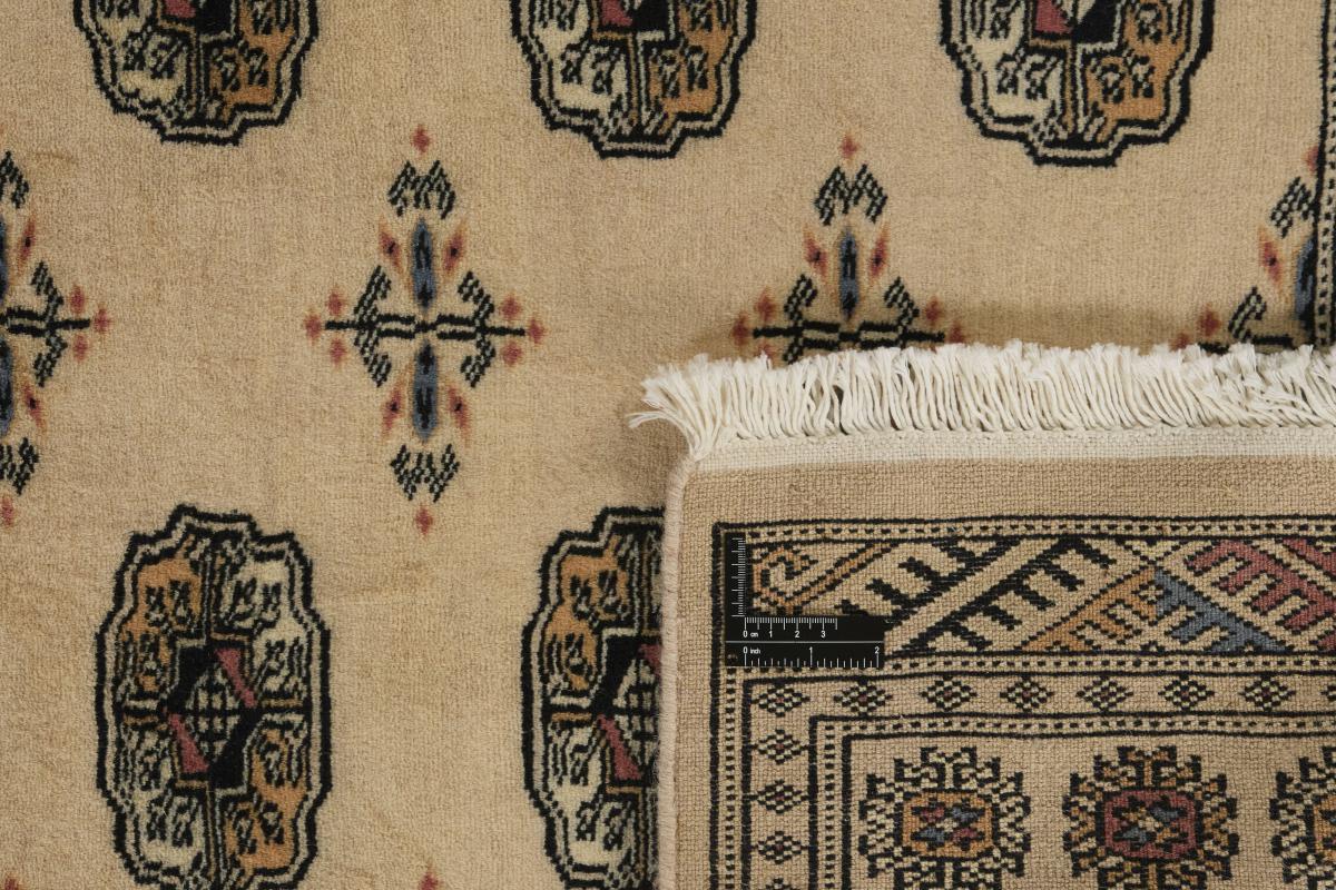 Pakistan Buchara 2ply - 1