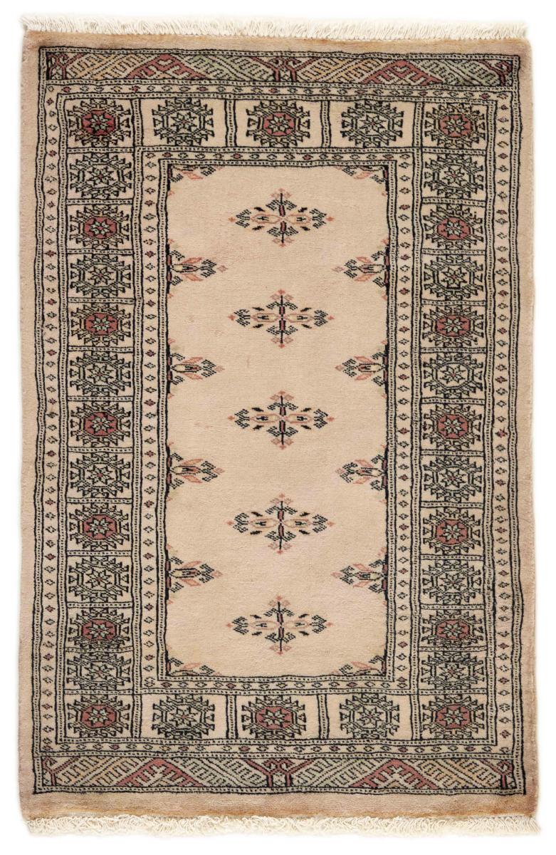 Pakisztáni szőnyeg Pakisztáni  Buchara 3ply 3'11"x2'7" 3'11"x2'7", Perzsa szőnyeg Kézzel csomózva