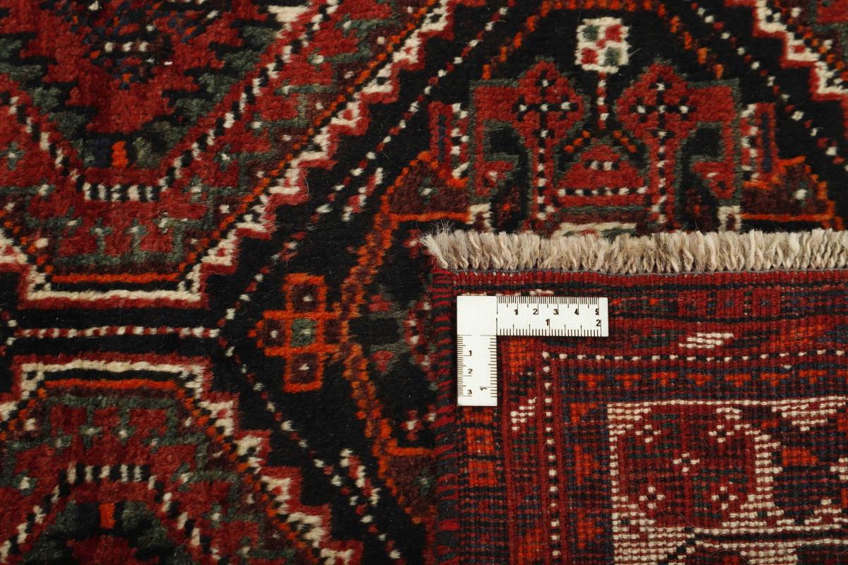 Shiraz - 1
