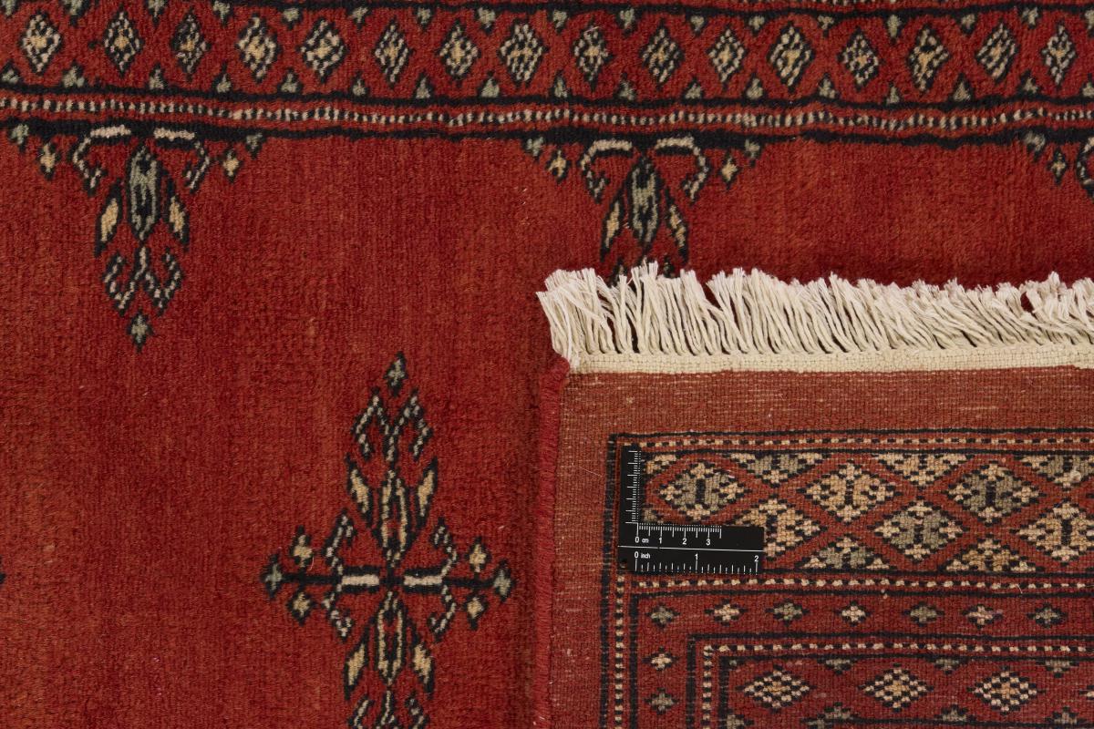 Pakistan Buchara 2ply - 1