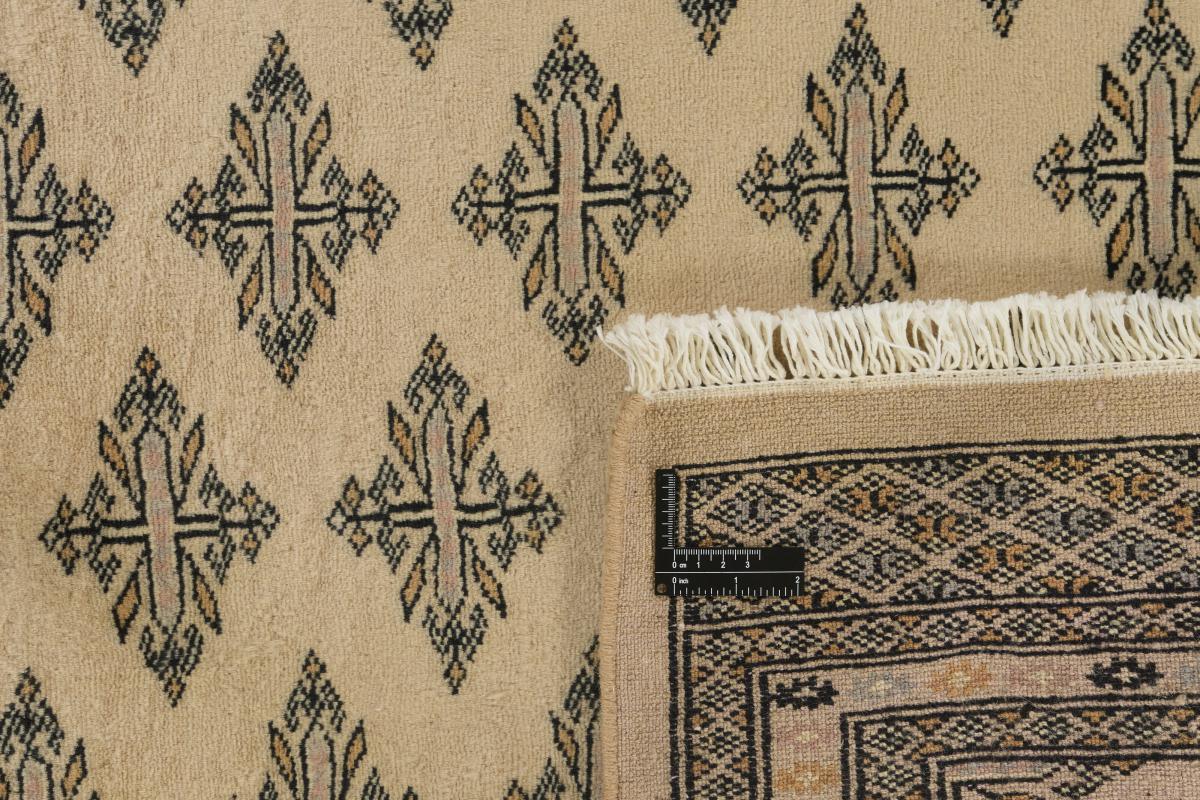 Pakistan Buchara 3ply - 1