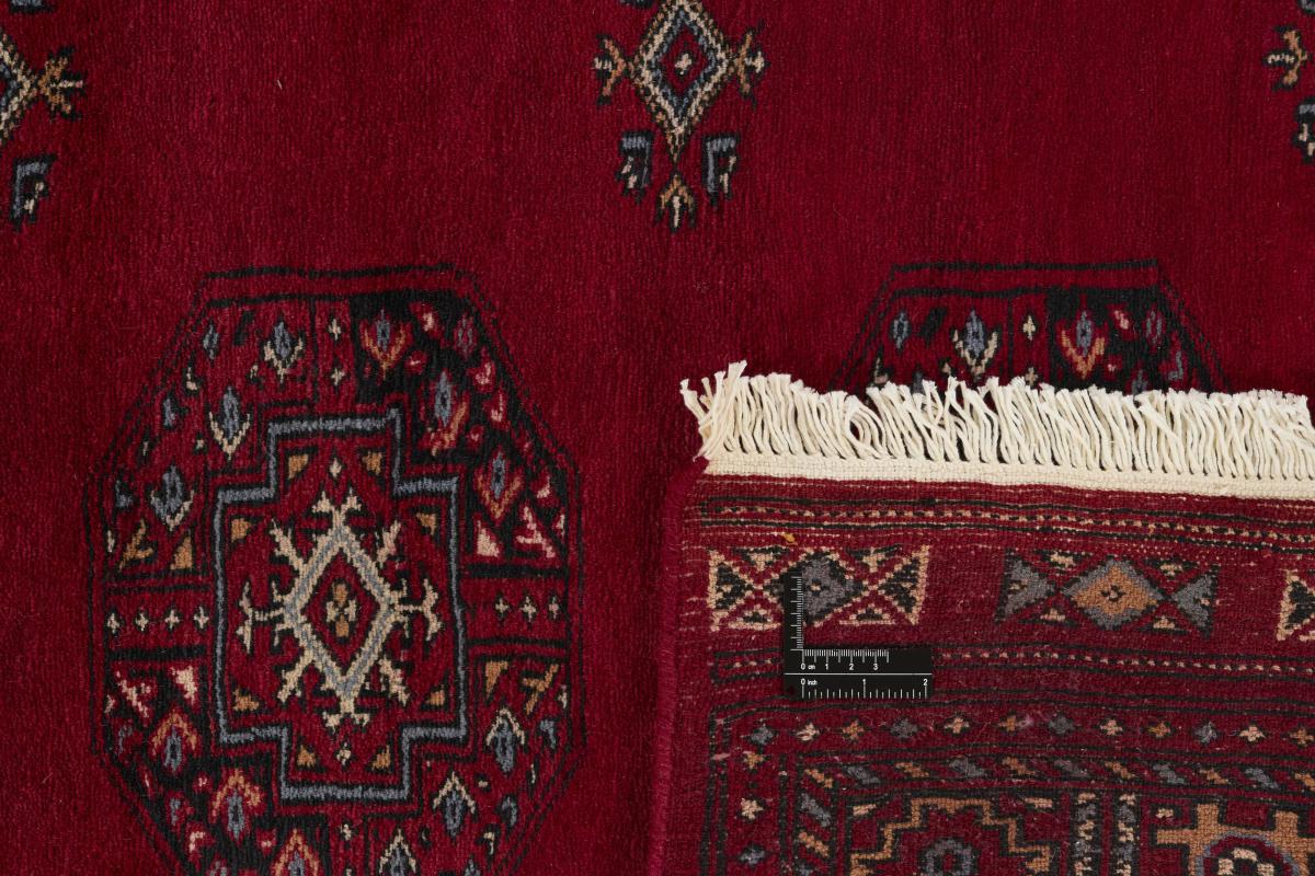 Pakistan Buchara 3ply - 1