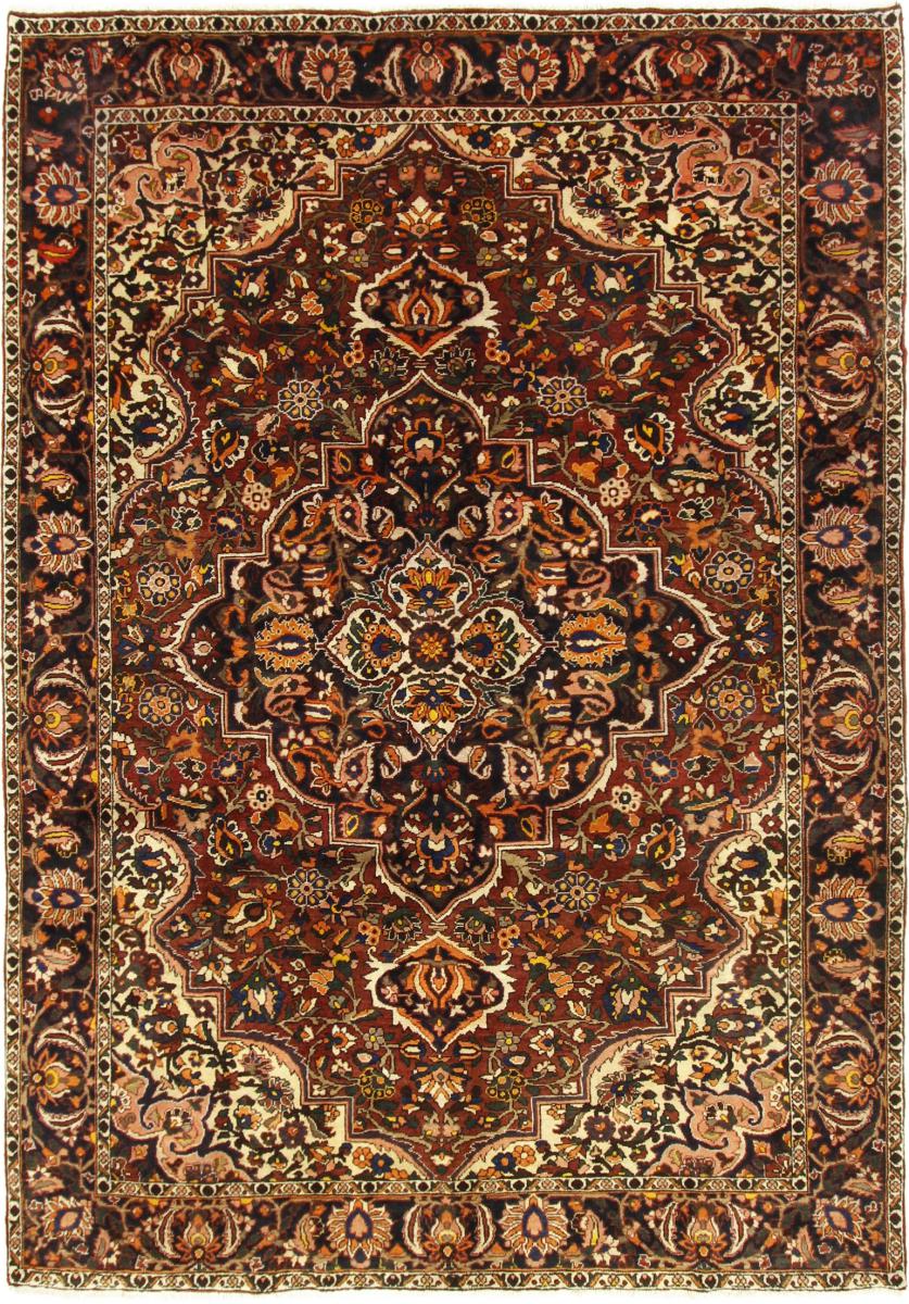 Persian Rug Bakhtiari 9'11"x6'10" 9'11"x6'10", Persian Rug Knotted by hand