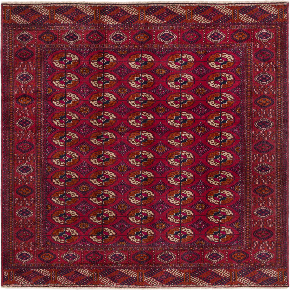 Afghanska mattan Afghan Mauri 202x203 202x203, Persisk matta Knuten för hand