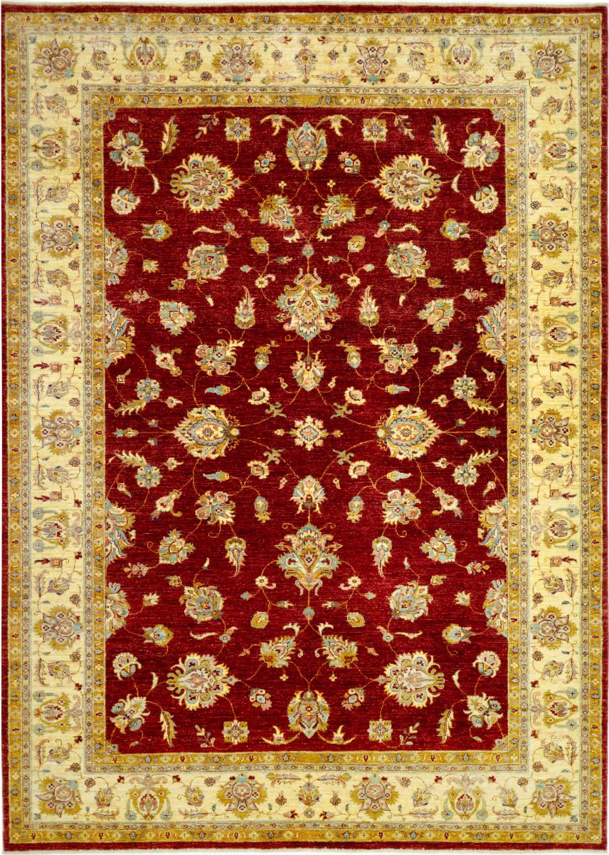 Afghan rug Ziegler Farahan 9'7"x6'11" 9'7"x6'11", Persian Rug Knotted by hand