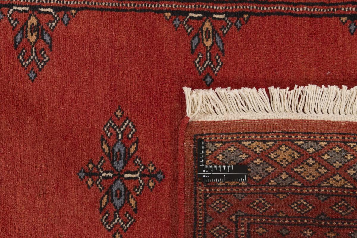 Pakistan Buchara 2ply - 1