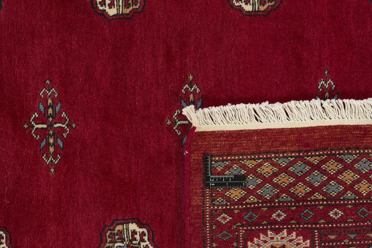 Pakistan Buchara 3ply - 1