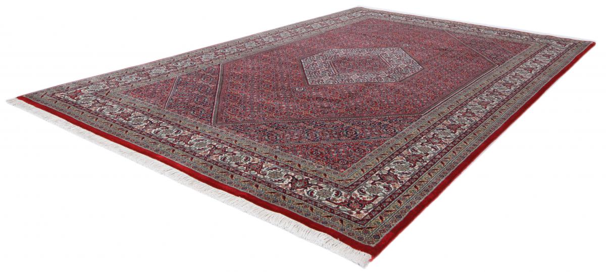 Indo Bidjar - 1