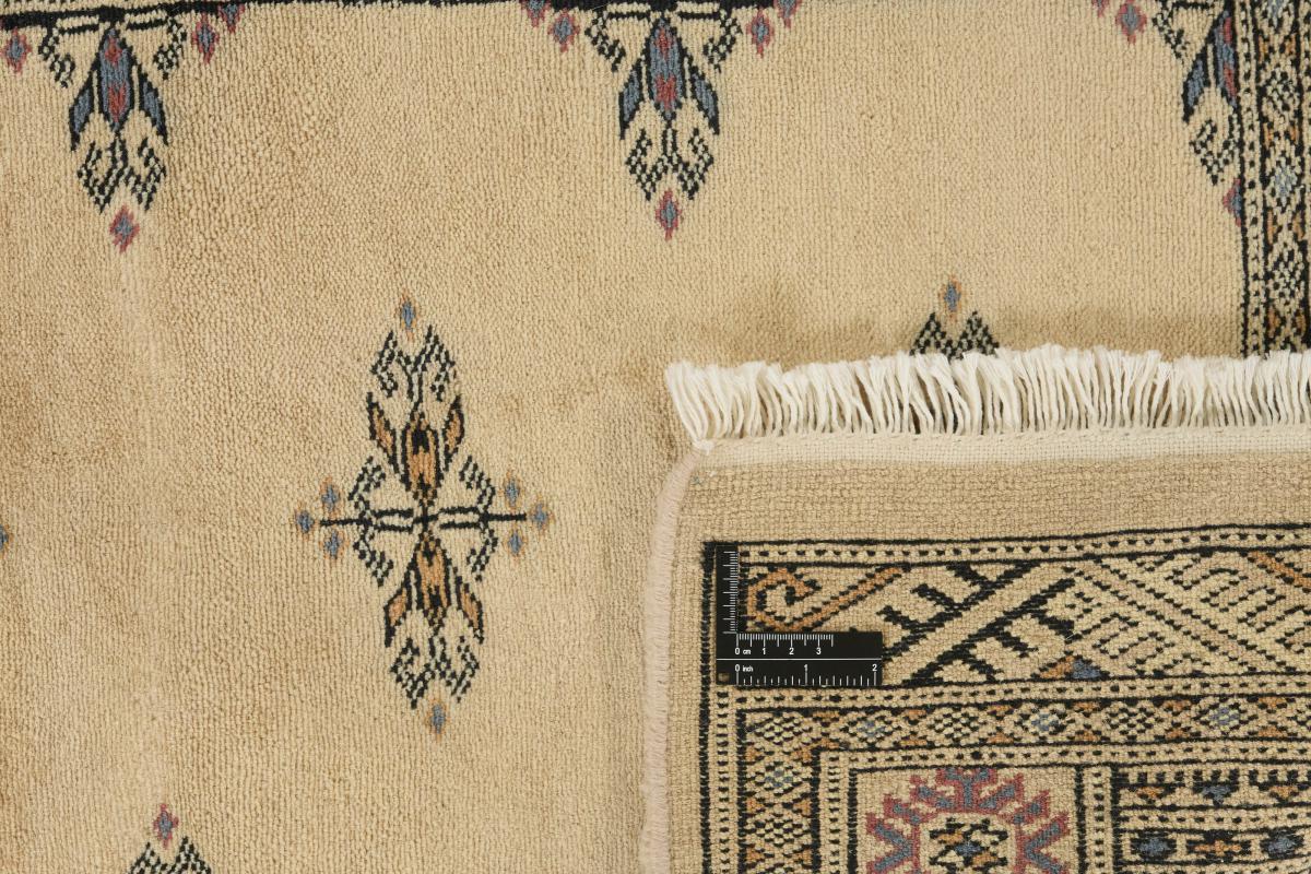 Pakistan Buchara 3ply - 1