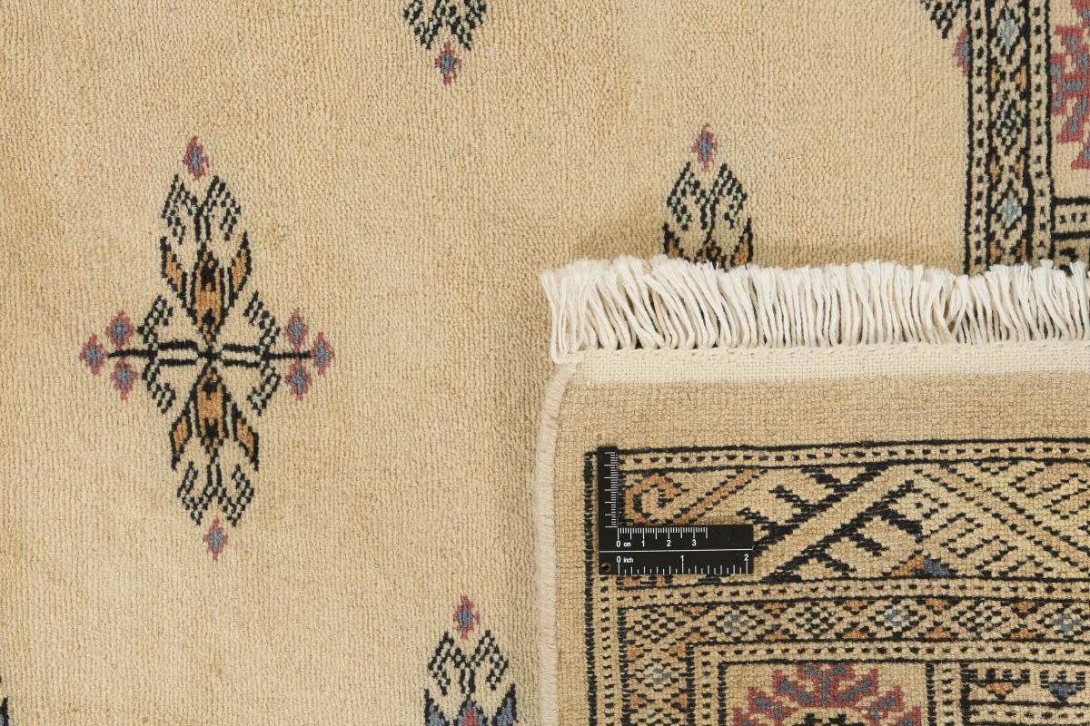 Pakistan Buchara 3ply - 1