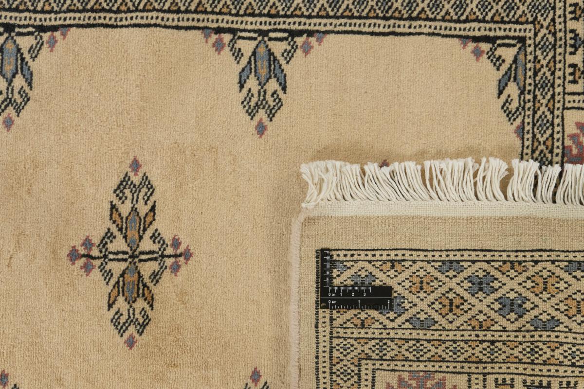 Pakistan Buchara 3ply - 1