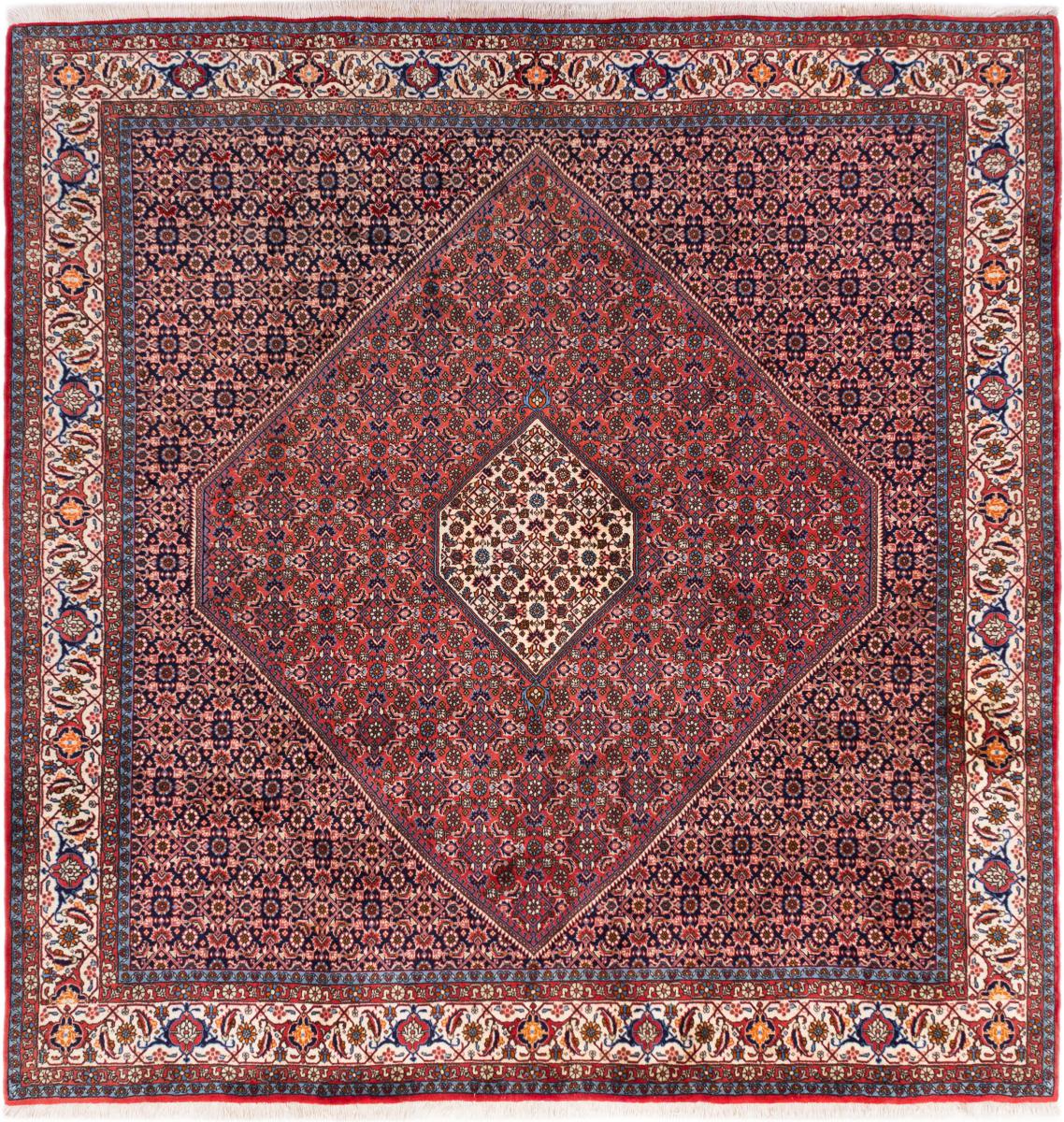 Alfombra persa Bidjar 259x246 259x246, Alfombra persa Hecho a mano
