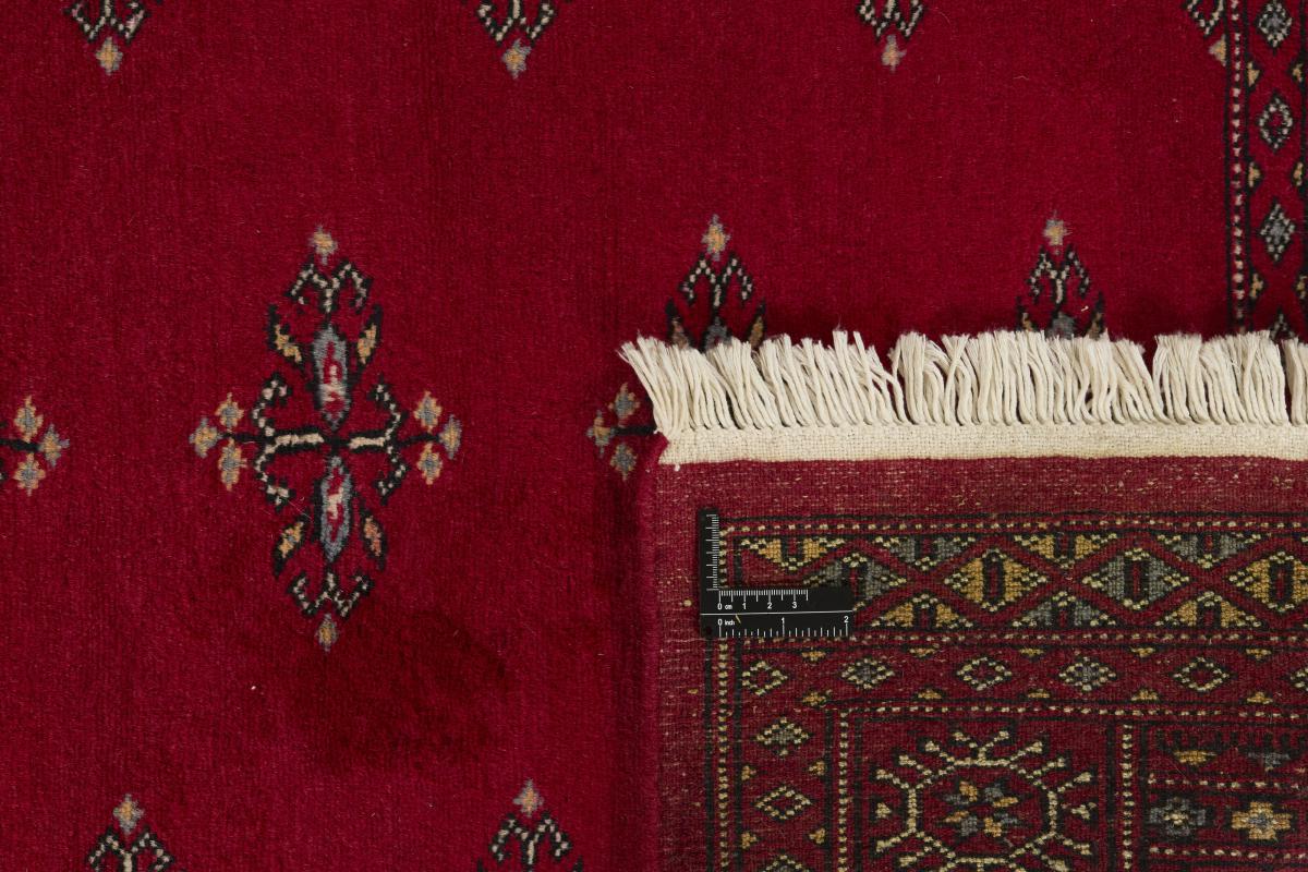Pakistan Buchara 2ply - 1