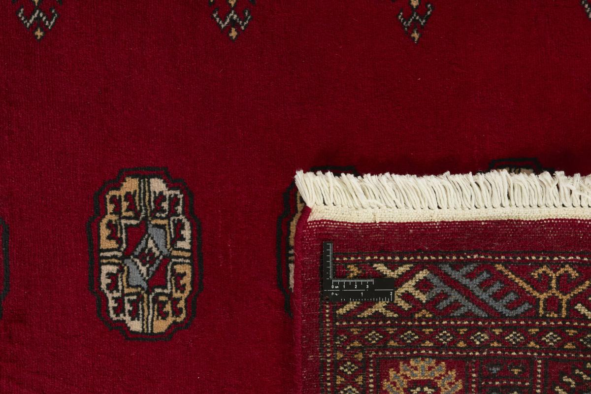 Pakistan Buchara 2ply - 1