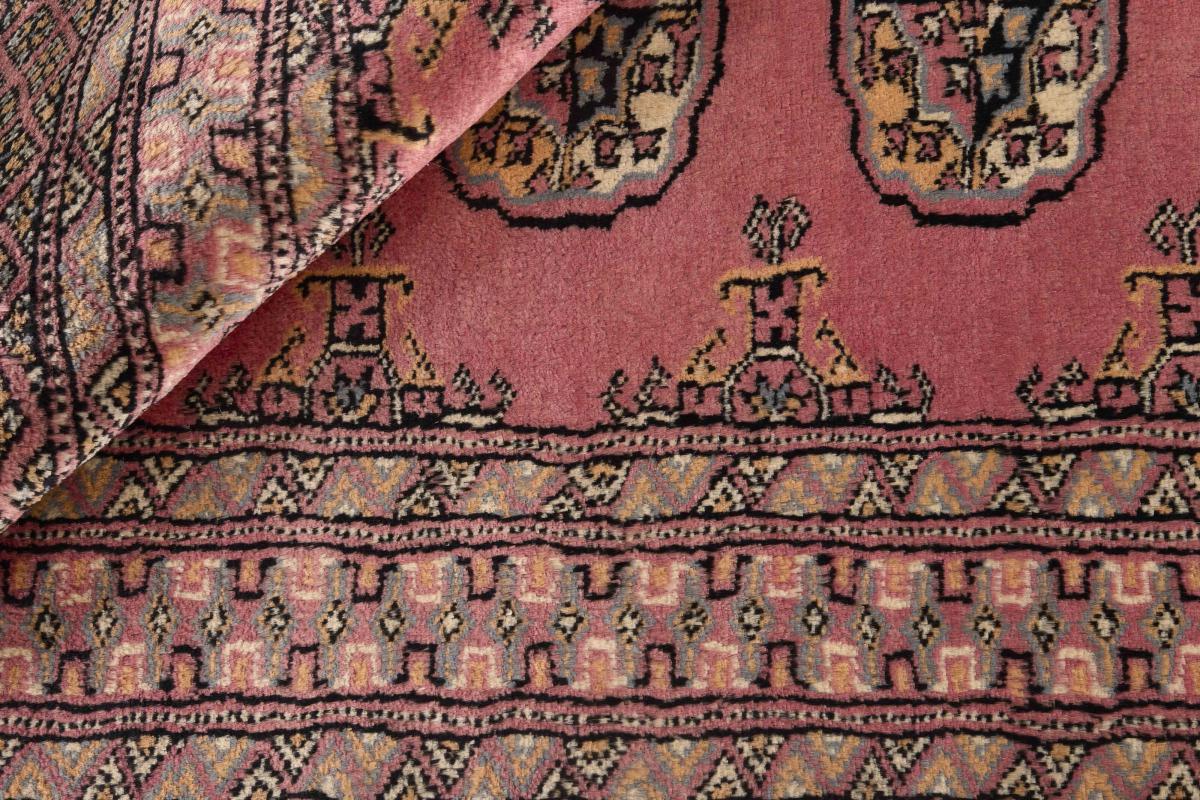 Pakistan Buchara 3ply - 1