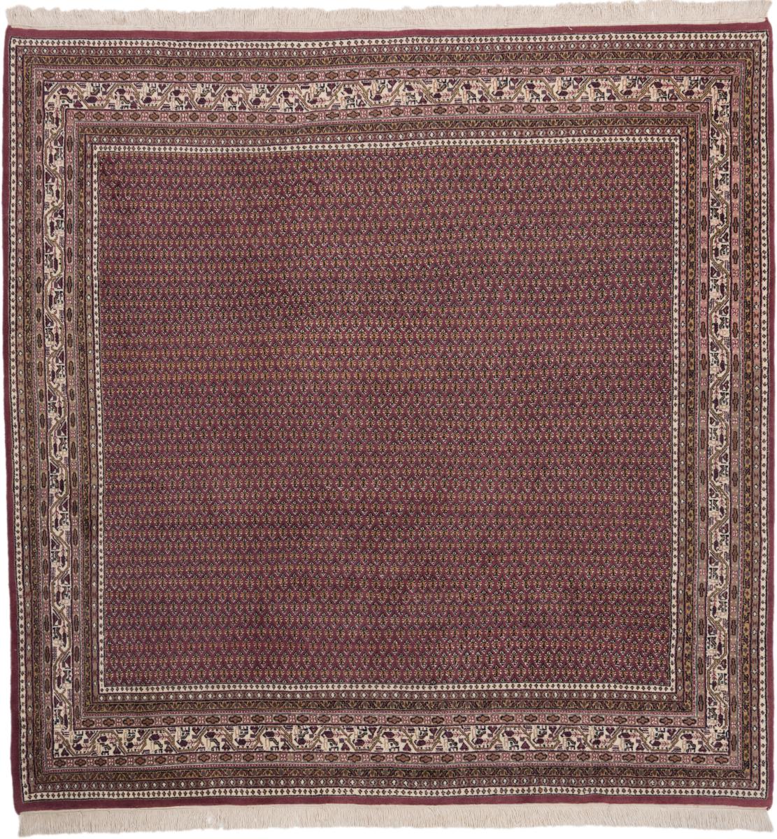 Indo rug Indo Sarouk 247x247 247x247, Persian Rug Knotted by hand
