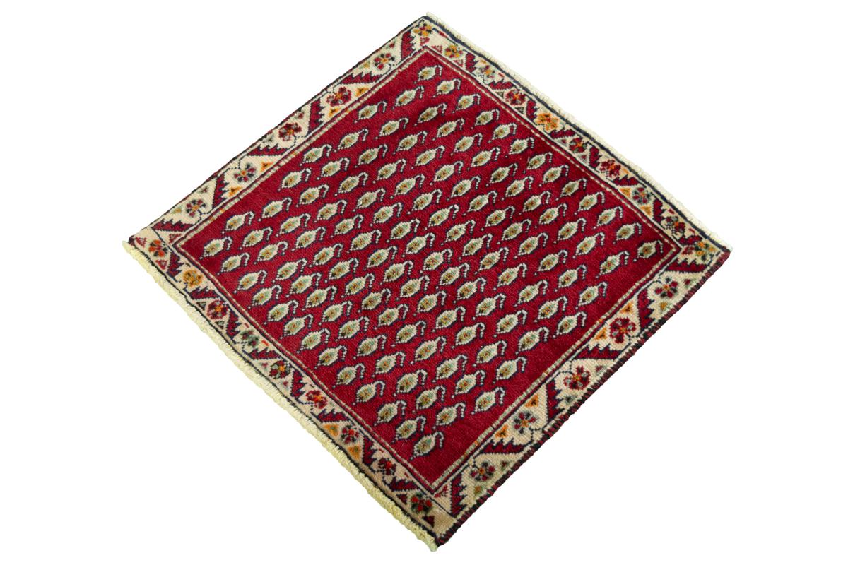 Shiraz - 1