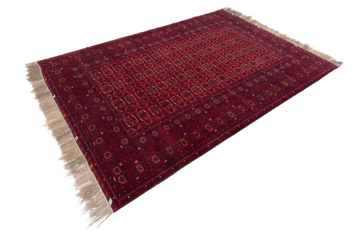 Afghan Mauri - 1