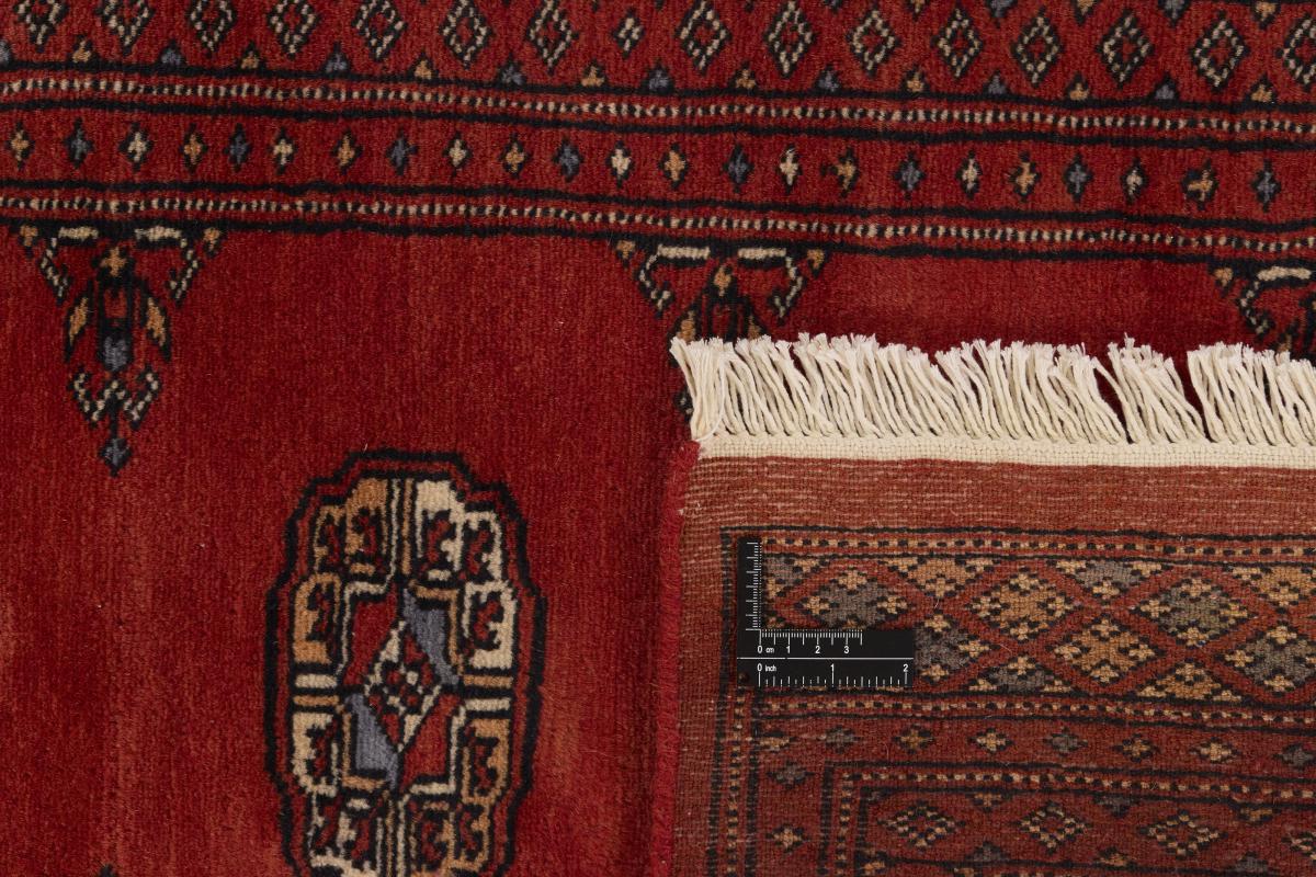 Pakistan Buchara 2ply - 1