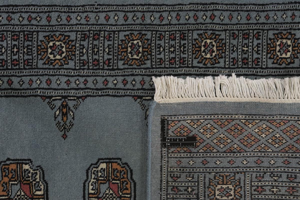 Pakistan Buchara 2ply - 1