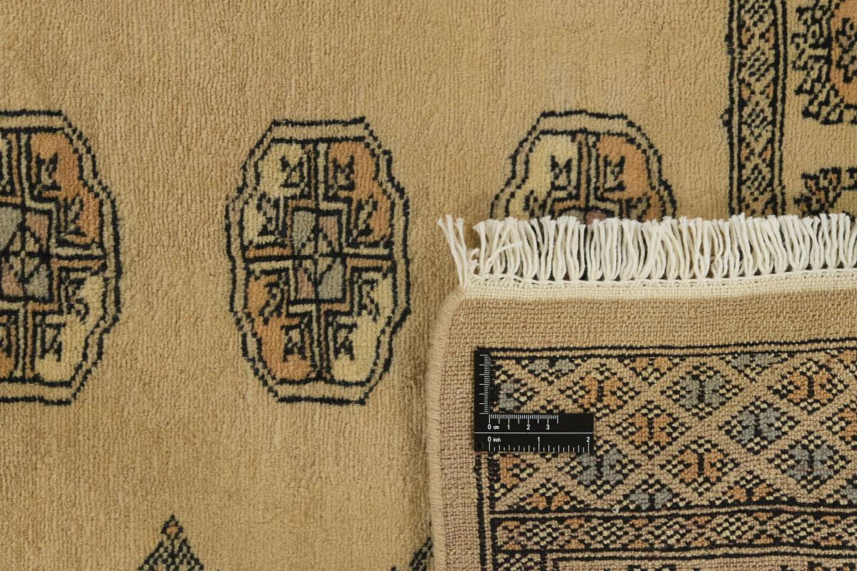 Pakistan Buchara 3ply - 1