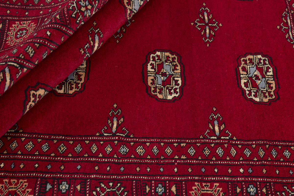 Pakistan Buchara 3ply - 1