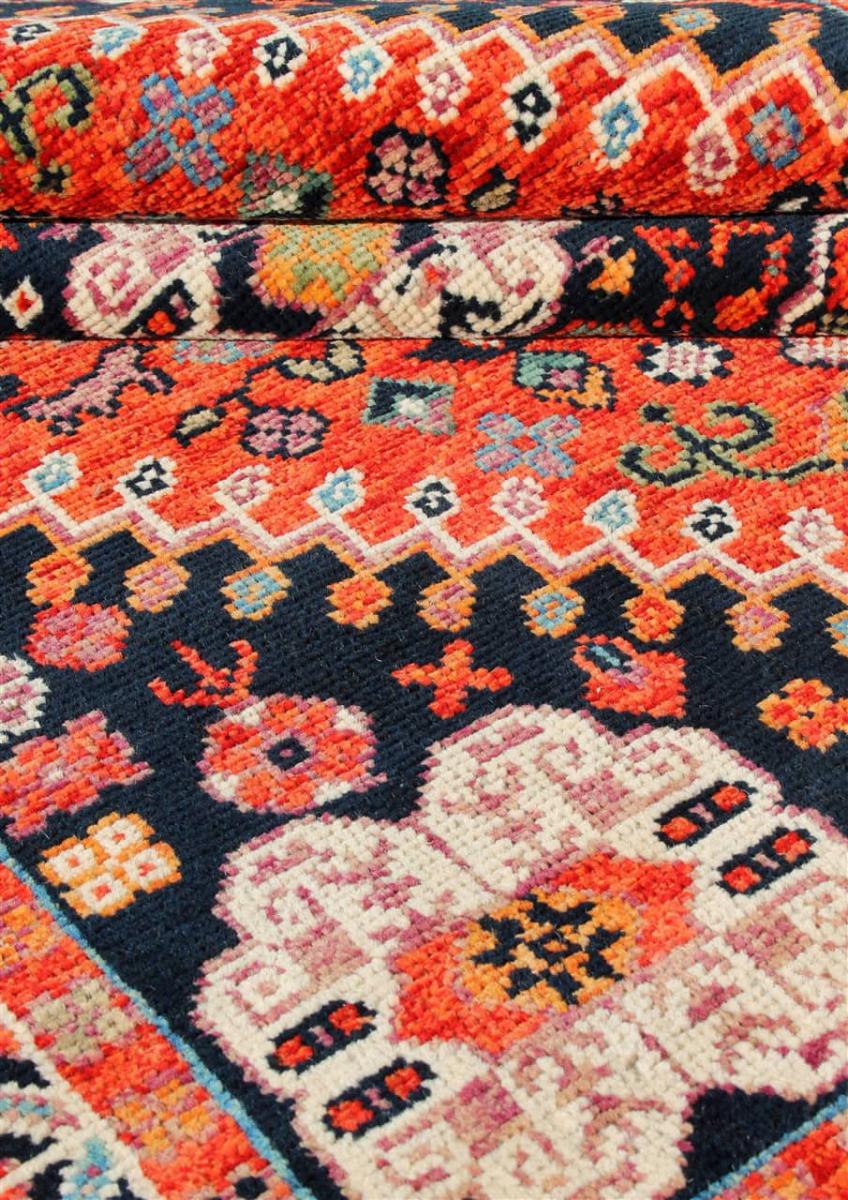 Arijana Ghashghai - 1