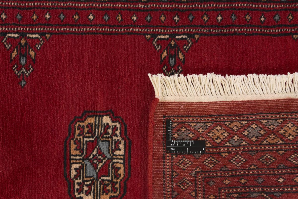 Pakistan Buchara 2ply - 1
