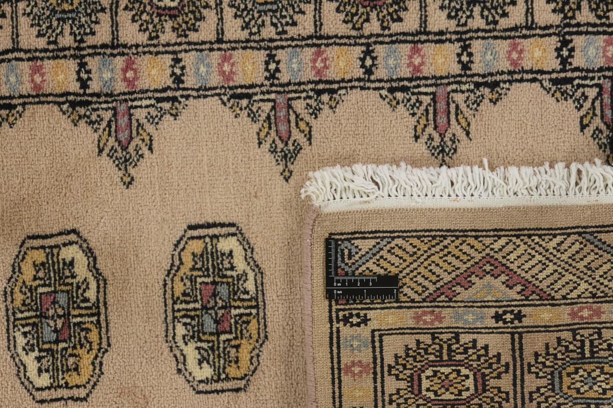 Pakistan Buchara 3ply - 1