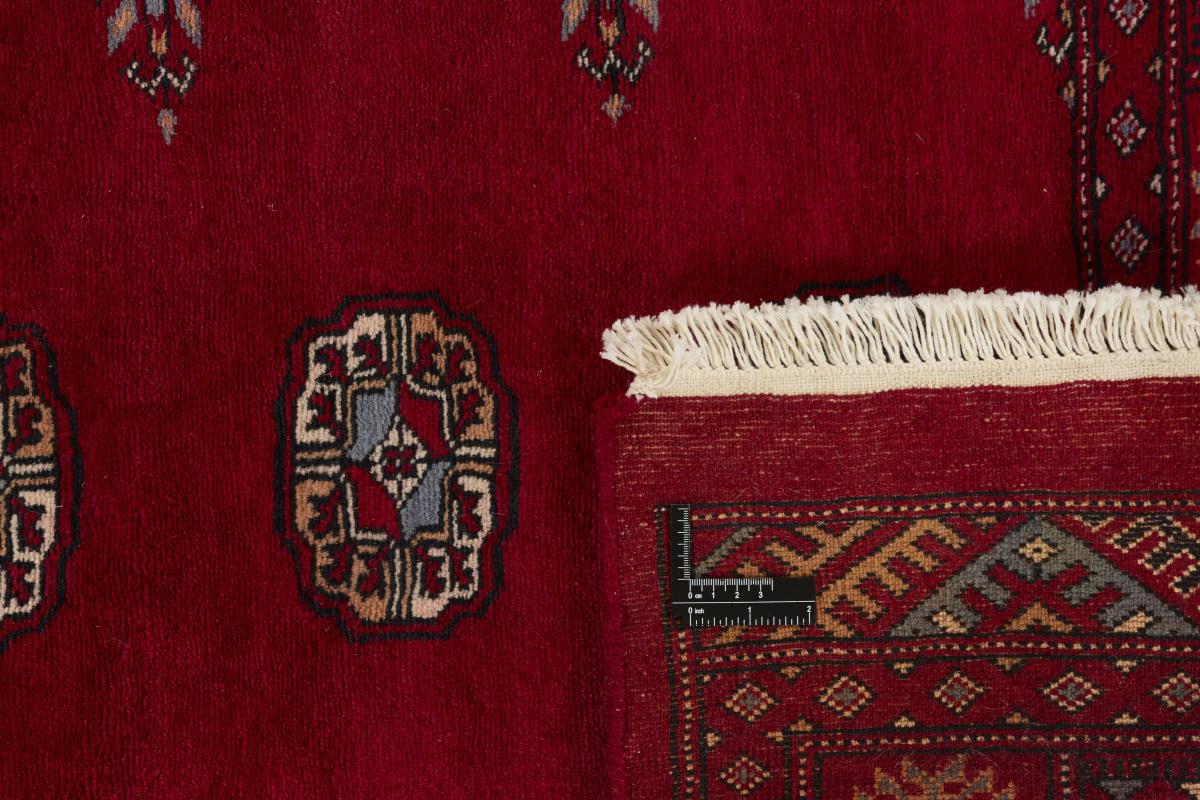 Pakistan Buchara 3ply - 1