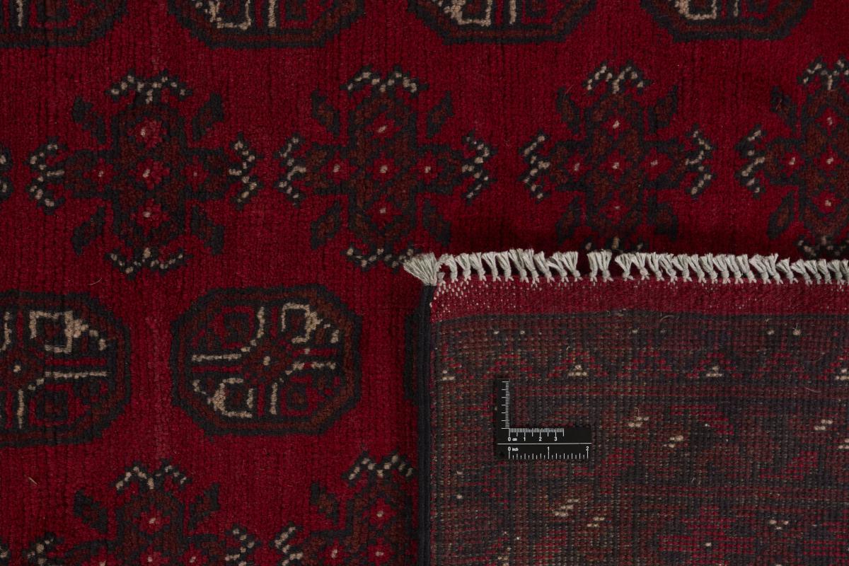 Afgán Akhche - 1