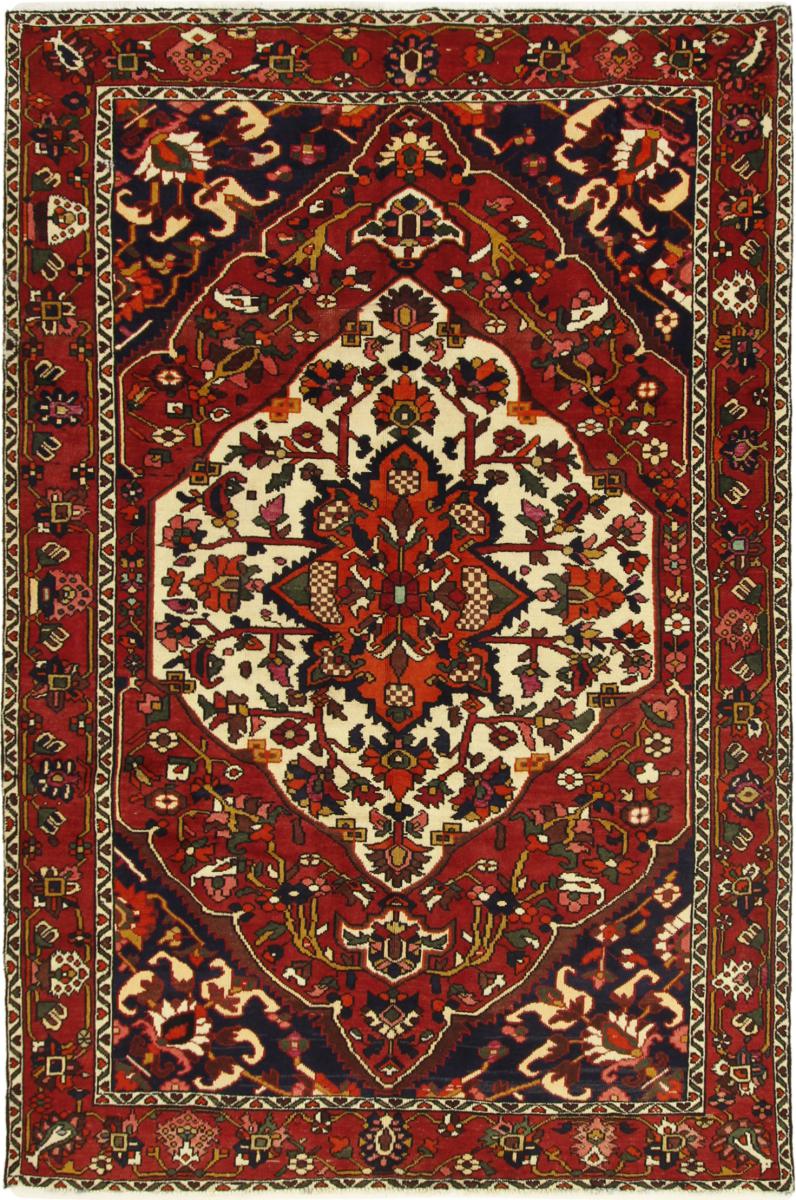 Persian Rug Bakhtiari 9'11"x6'6" 9'11"x6'6", Persian Rug Knotted by hand