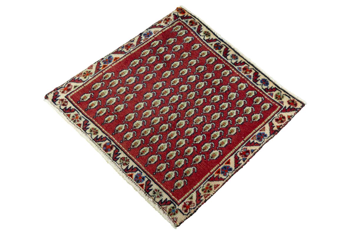 Shiraz - 1