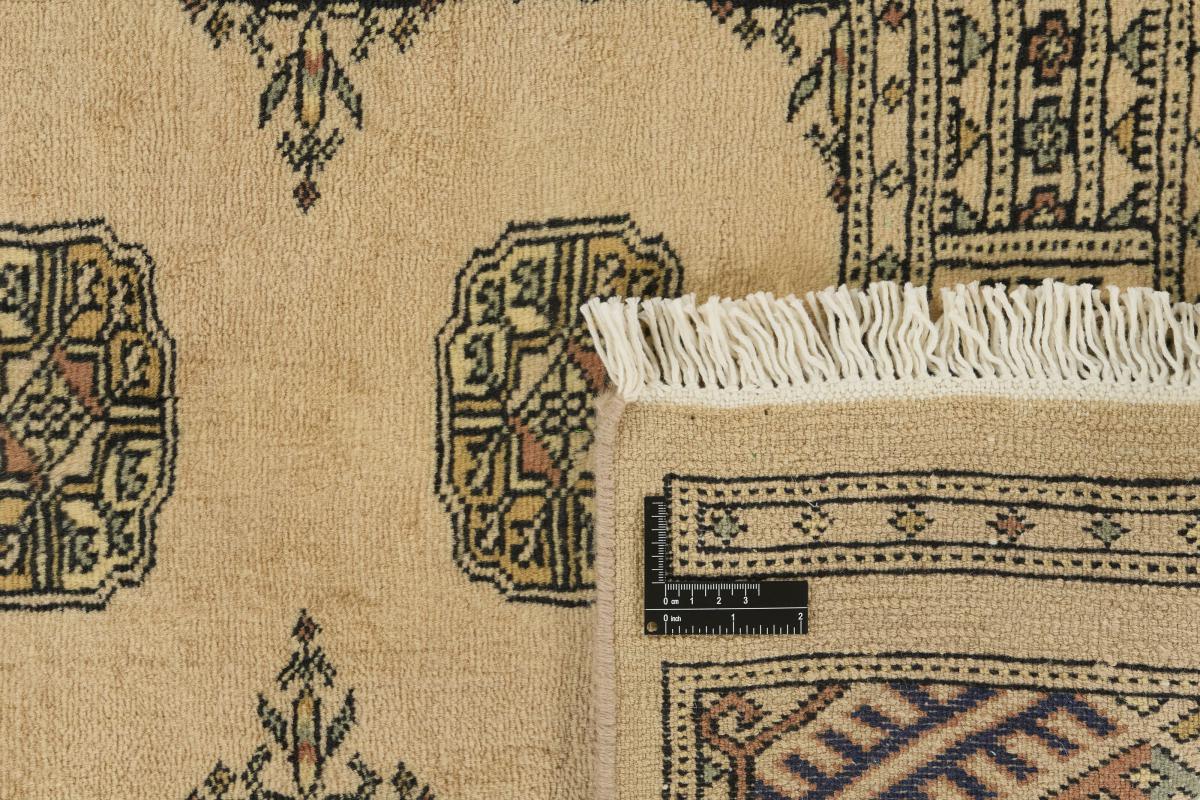 Pakistan Buchara 3ply - 1