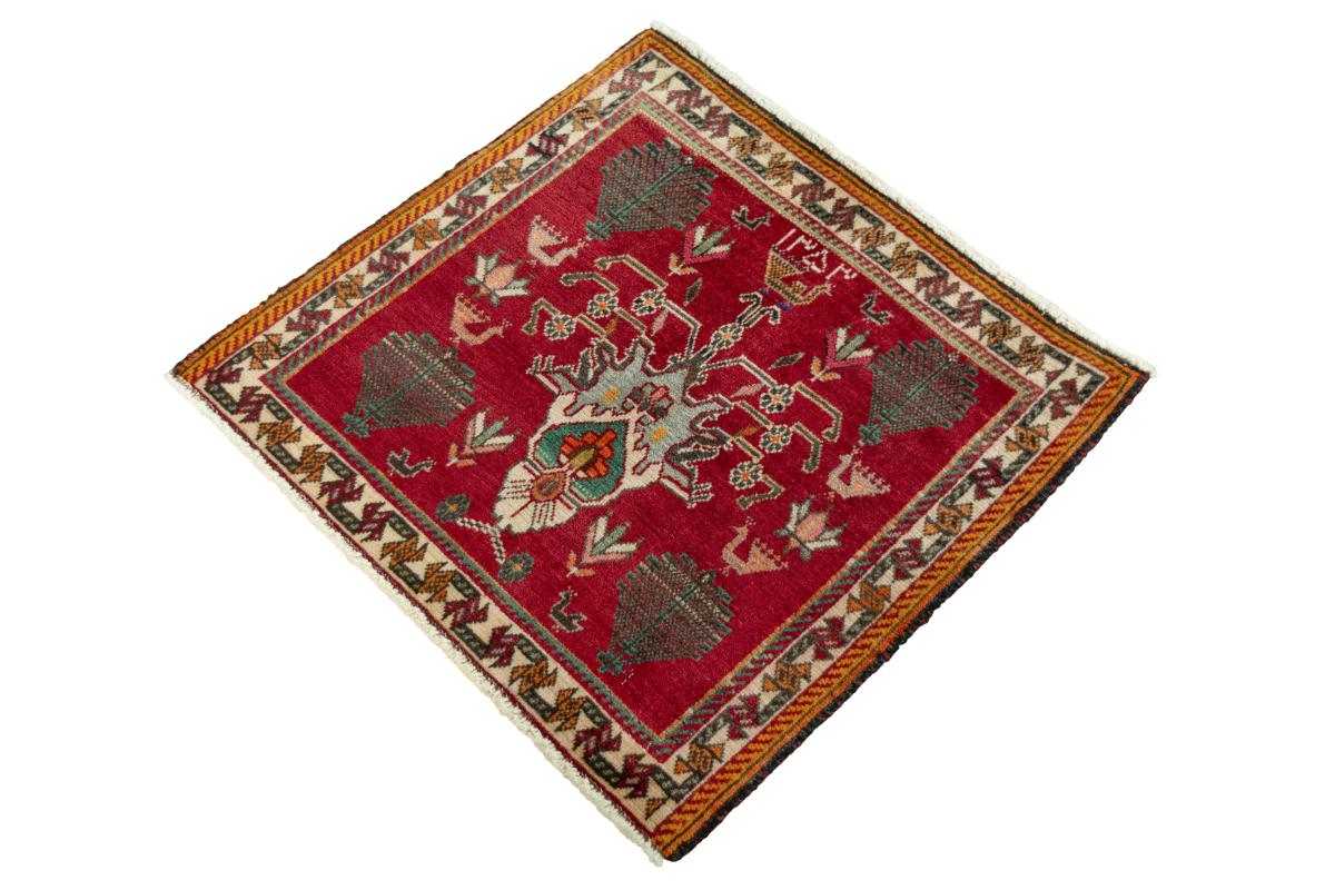 Shiraz - 1