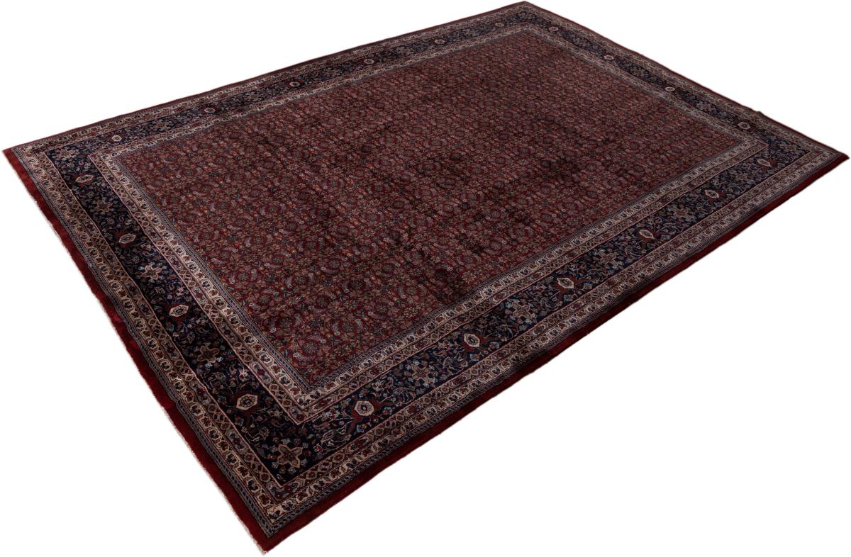 Indo Bidjar - 1