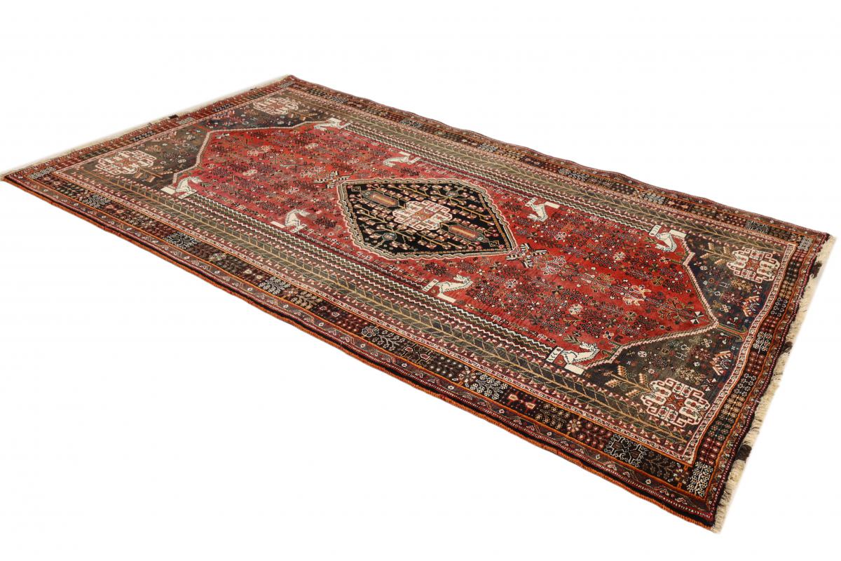 Shiraz - 1