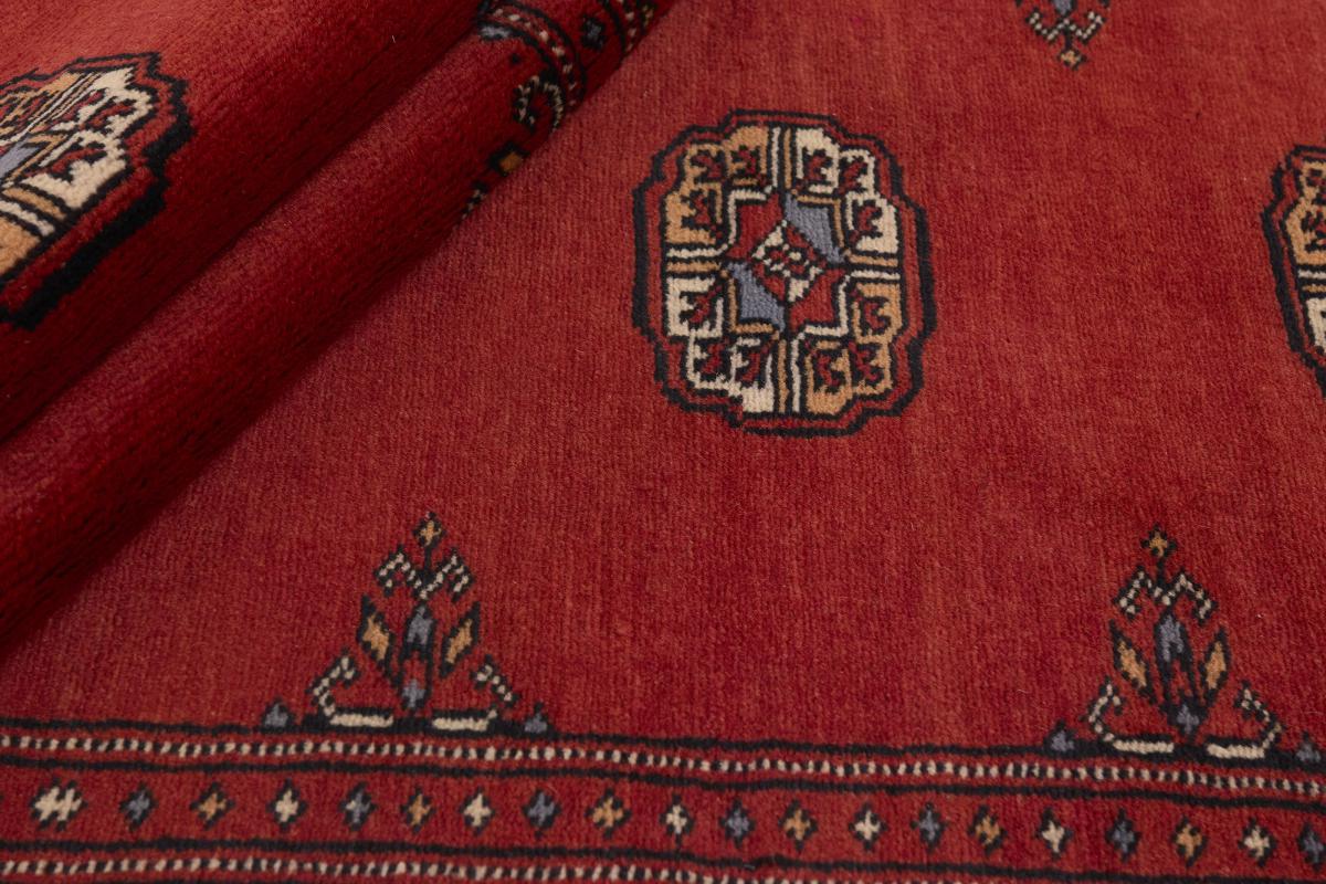 Pakistan Buchara 2ply - 1