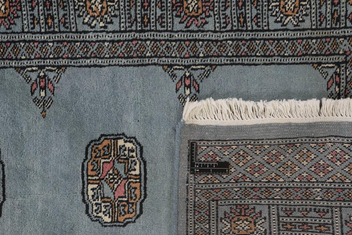 Pakistan Buchara 2ply - 1