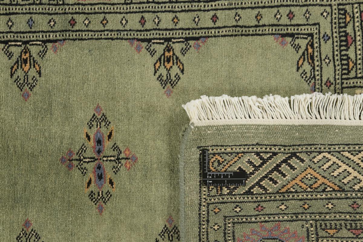 Pakistan Buchara 3ply - 1