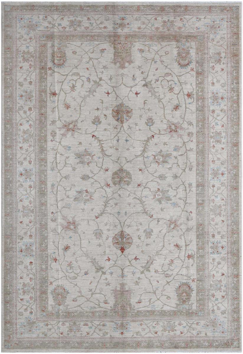 Pakistani rug Ziegler Farahan 9'9"x6'7" 9'9"x6'7", Persian Rug Knotted by hand